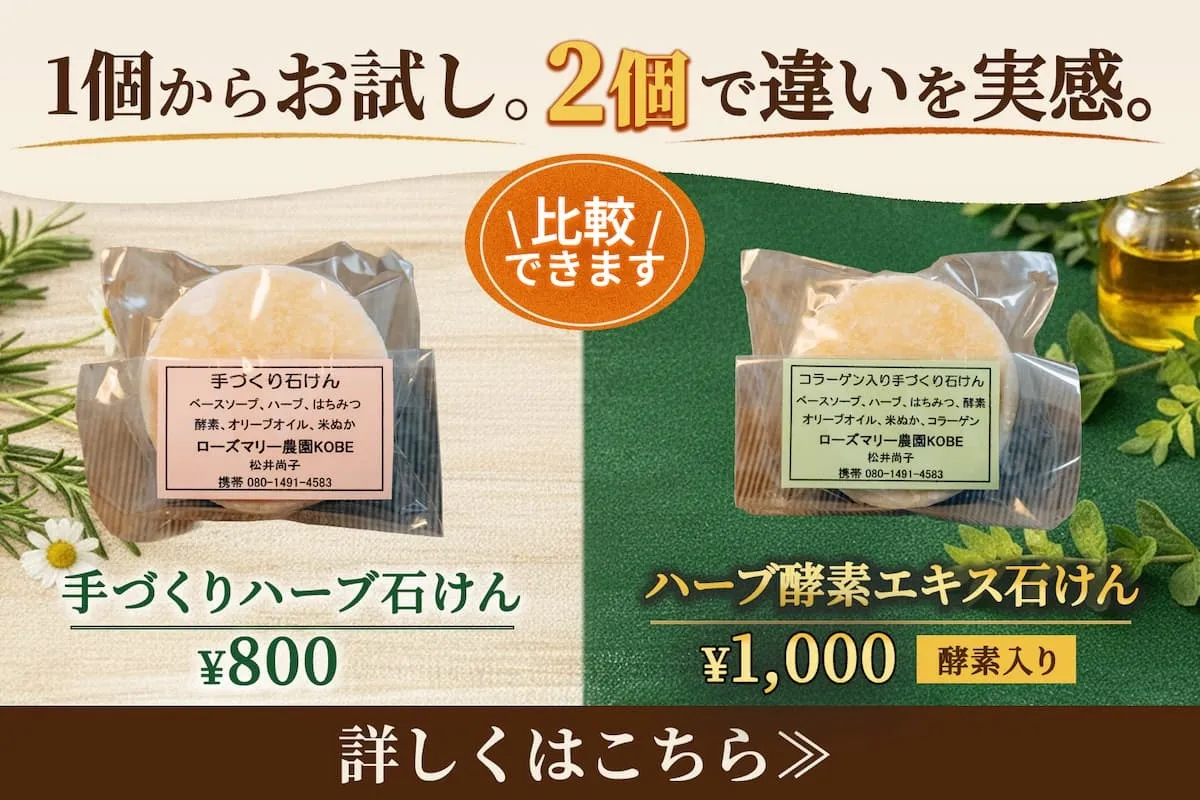 1個からお試し。2個で違いを実感。