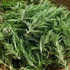 初めての方も安心