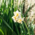 プライバシーポリシー